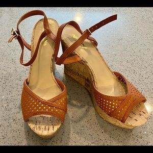 Women’s Ankle Strap Platform Wedges